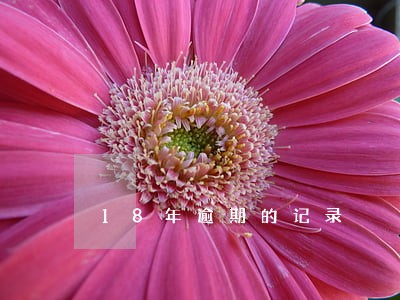 18年逾期的记录 18年逾期的记录