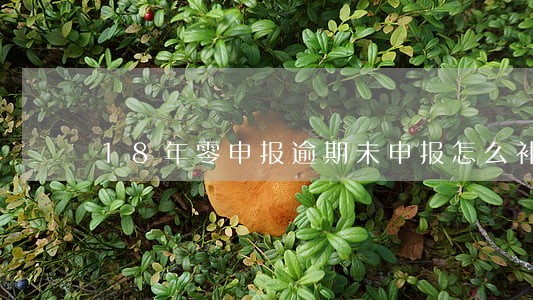 18年零申报逾期未申报怎么补 18年零申报逾期未申报怎么补