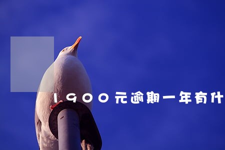 1900元逾期一年有什么影响吗 1900元逾期一年有什么影响吗