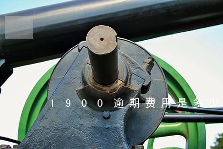 1900逾期费用是多少 1900逾期费用是多少