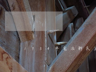 1954年宪法新民主主义性质 1954年宪法新民主主义性质