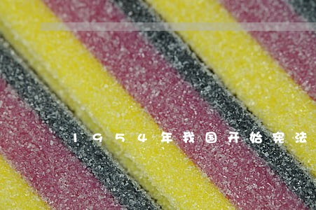 1954年我国开始宪法