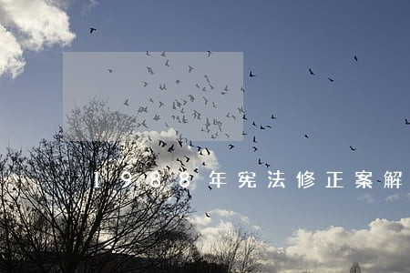 1988年宪法修正案解说文档 1988年宪法修正案解说文档
