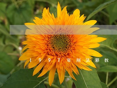 1997年刑法邪教