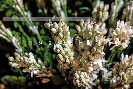 1999年上海律师收费标准 1999年上海律师收费标准