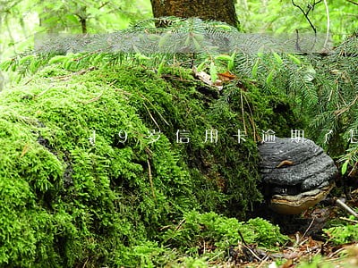 19岁信用卡逾期了怎么办 19岁信用卡逾期了怎么办