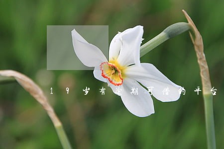 19岁有逾期可借的平台 19岁有逾期可借的平台