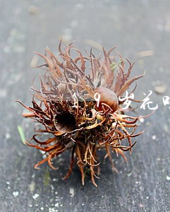 19岁花呗逾期可以贷款的平台 19岁花呗逾期可以贷款的平台