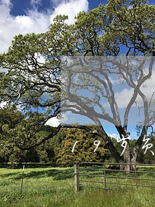 19岁负债一万逾期很多 19岁负债一万逾期很多