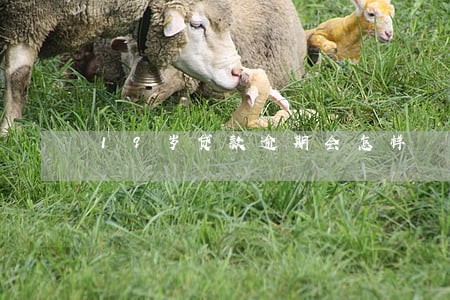 19岁贷款逾期会怎样 19岁贷款逾期会怎样