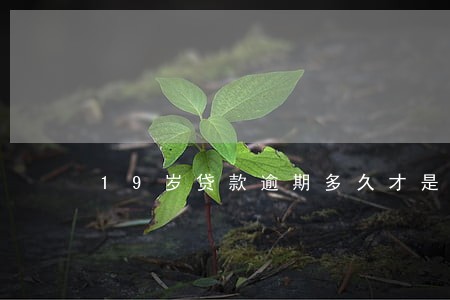 19岁贷款逾期多久才是不良 19岁贷款逾期多久才是不良