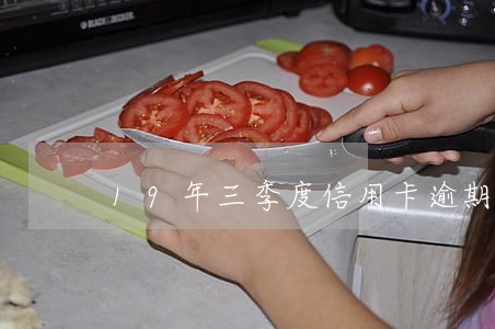 19年三季度信用卡逾期报告