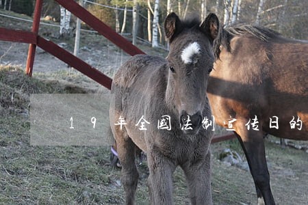 19年全国法制宣传日的主题是 19年全国法制宣传日的主题是