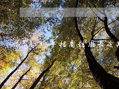 19年招商信用卡逾期还完了