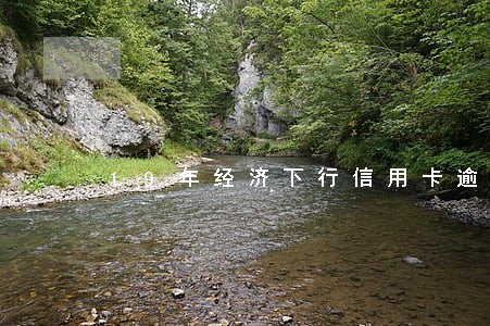 19年经济下行信用卡逾期率 19年经济下行信用卡逾期率