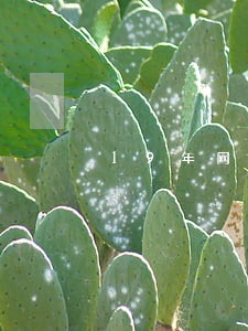 19年网贷逾期还p图的网贷 19年网贷逾期还p图的网贷
