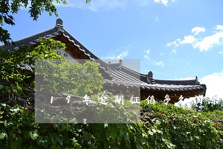 19年逾期征信多久消除 19年逾期征信多久消除