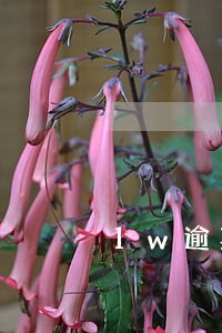 1w逾期一年多少利息 1w逾期一年多少利息