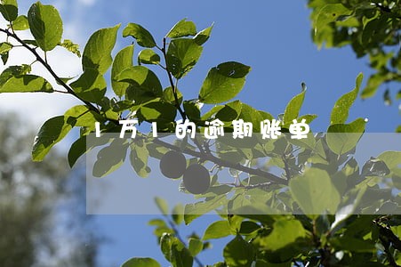 1万1的逾期账单 1万1的逾期账单