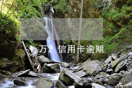 1万2信用卡逾期