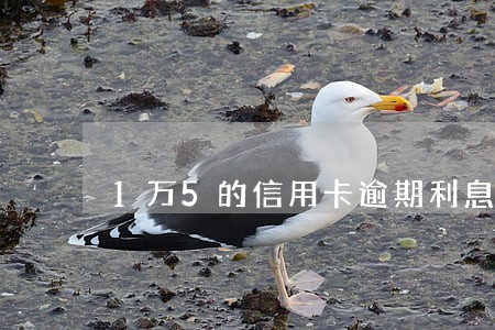 1万5的信用卡逾期利息是多少 1万5的信用卡逾期利息是多少