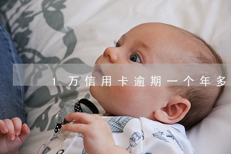 1万信用卡逾期一个年多少钱 1万信用卡逾期一个年多少钱