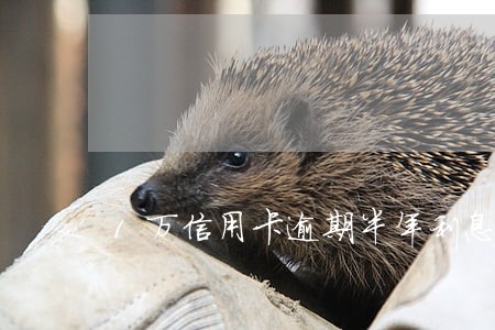 1万信用卡逾期半年利息 1万信用卡逾期半年利息