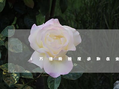 1万信用额度逾期会坐牢吗