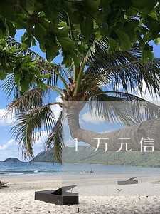 1万元信用卡逾期利息是多少 1万元信用卡逾期利息是多少
