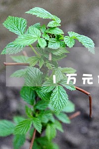 1万元债务纠纷律师费 1万元债务纠纷律师费