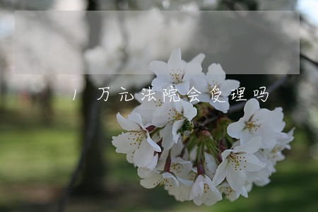 1万元法院会受理吗 1万元法院会受理吗