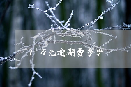 1万元逾期费多少 1万元逾期费多少