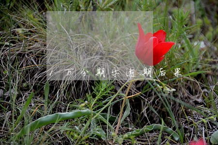 1万分期乐逾期后果 1万分期乐逾期后果