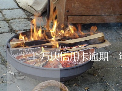 1万块信用卡逾期一年要还多少 1万块信用卡逾期一年要还多少