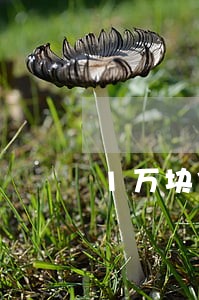 1万块信用卡逾期了怎么办 1万块信用卡逾期了怎么办