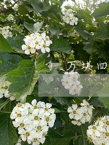1万块四年逾期 1万块四年逾期
