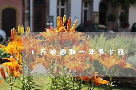 1万块逾期一年多少钱 1万块逾期一年多少钱
