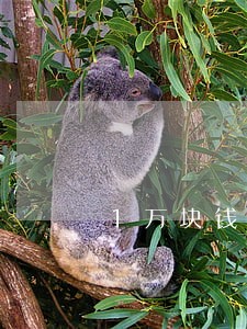 1万块钱逾期一年还多少 1万块钱逾期一年还多少