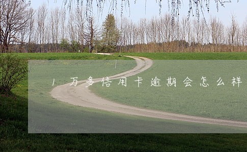 1万多信用卡逾期会怎么样