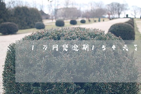 1万网贷逾期154天了 1万网贷逾期154天了