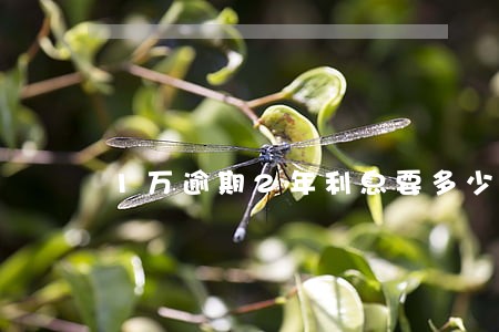 1万逾期2年利息要多少滞纳金 1万逾期2年利息要多少滞纳金