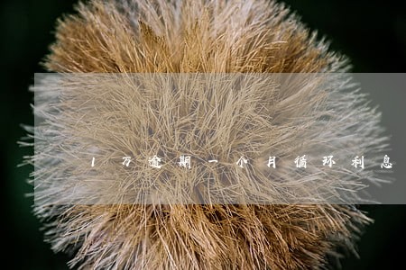 1万逾期一个月循环利息要多少 1万逾期一个月循环利息要多少