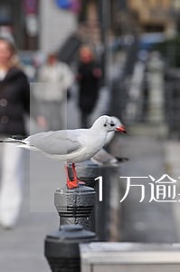 1万逾期一个月还多少钱 1万逾期一个月还多少钱