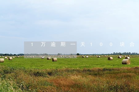 1万逾期一天100块合法吗 1万逾期一天100块合法吗