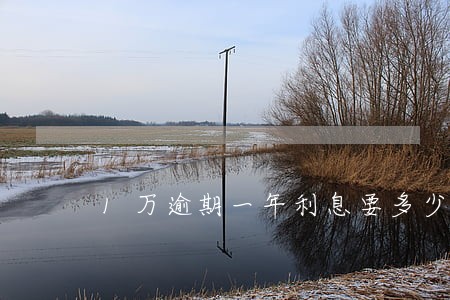 1万逾期一年利息要多少钱 1万逾期一年利息要多少钱
