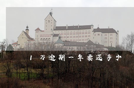 1万逾期一年要还多少 1万逾期一年要还多少
