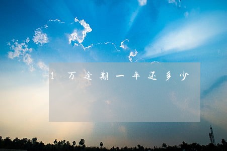 1万逾期一年还多少