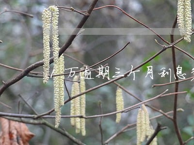 1万逾期三个月利息多少 1万逾期三个月利息多少