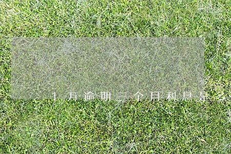 1万逾期三个月利息是多少钱 1万逾期三个月利息是多少钱