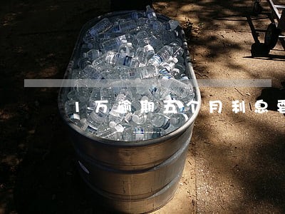 1万逾期五个月利息要多少 1万逾期五个月利息要多少